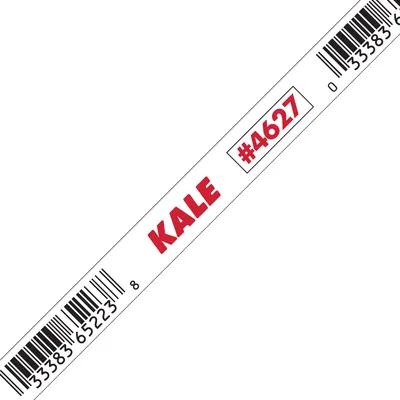 Kale Twist Tie 20X0.438 IN Metal Paper 1000/Box